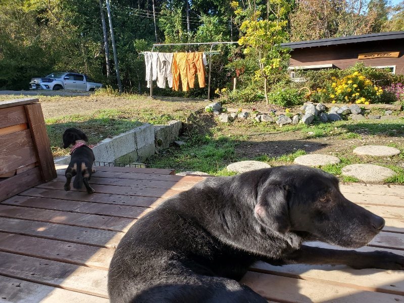 f:id:roukenhome-ann:20191106120926j:plain