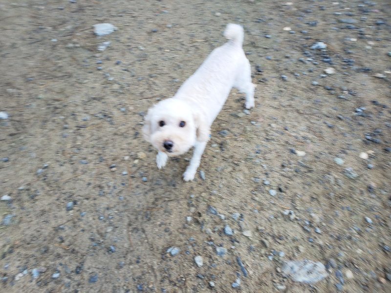 f:id:roukenhome-ann:20191106120953j:plain