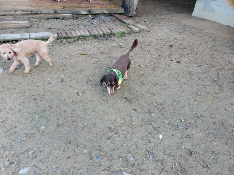 f:id:roukenhome-ann:20191106121000j:plain