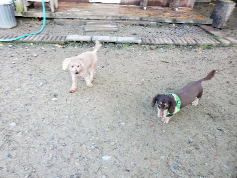 f:id:roukenhome-ann:20191106121006j:plain