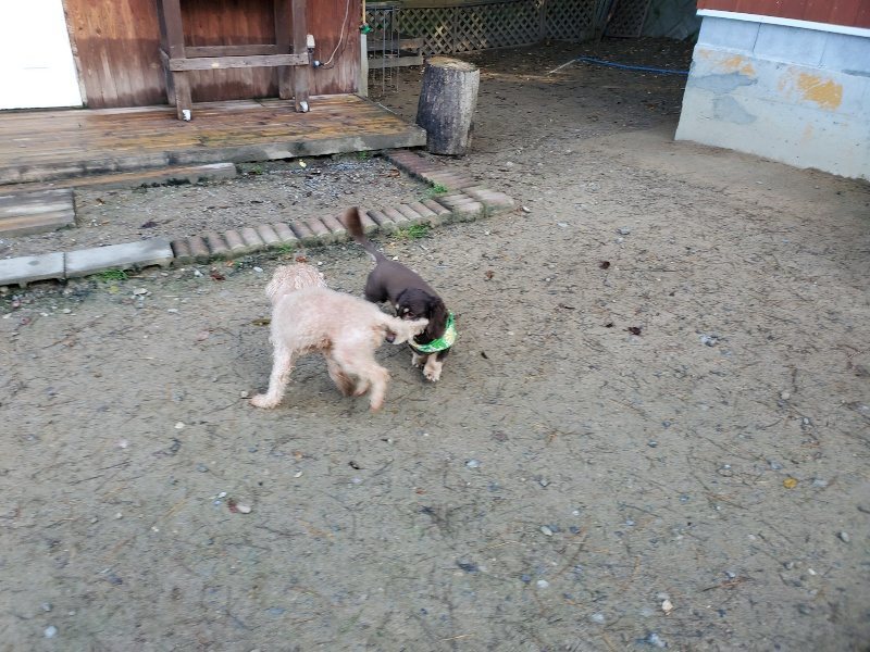 f:id:roukenhome-ann:20191106121013j:plain