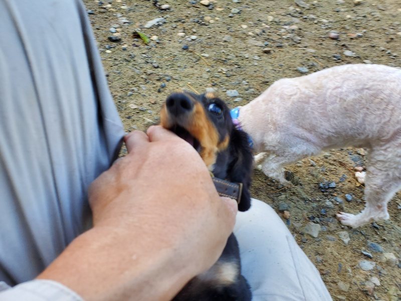 f:id:roukenhome-ann:20191106121956j:plain
