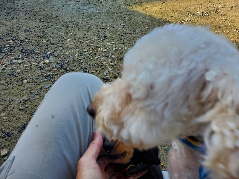 f:id:roukenhome-ann:20191106122015j:plain