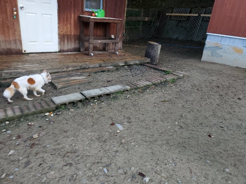 f:id:roukenhome-ann:20191106122022j:plain