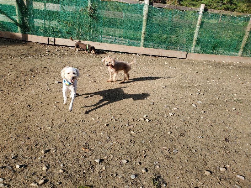 f:id:roukenhome-ann:20191106122049j:plain