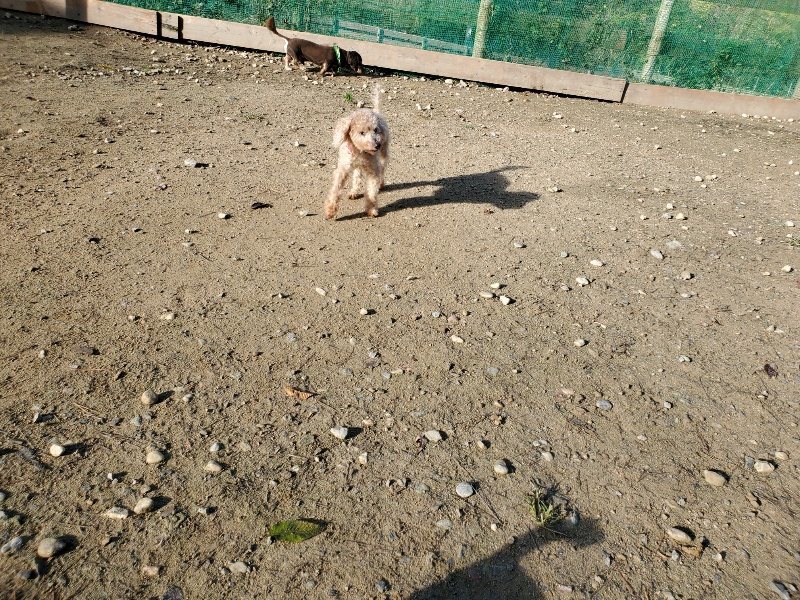 f:id:roukenhome-ann:20191106122055j:plain