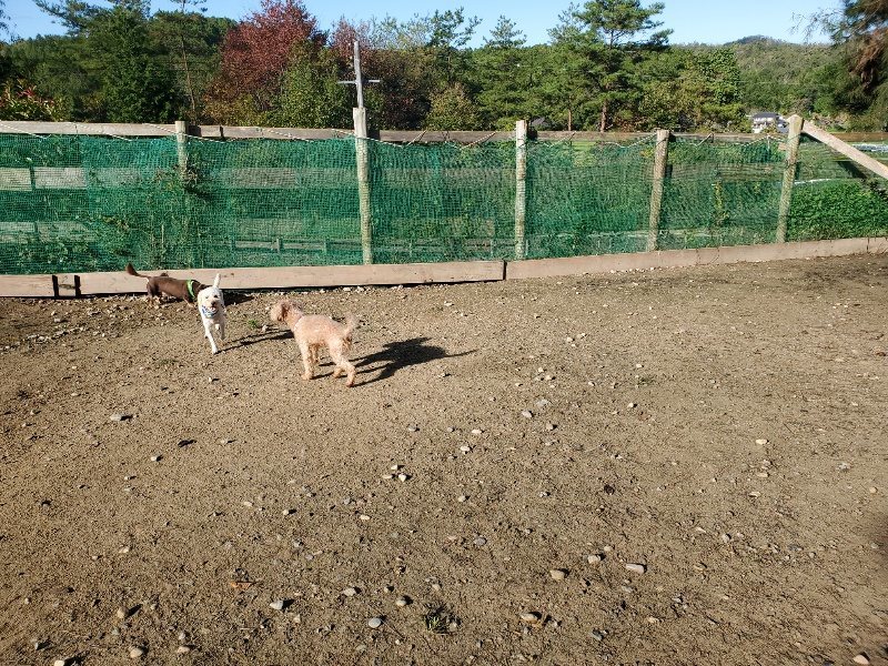 f:id:roukenhome-ann:20191106122103j:plain