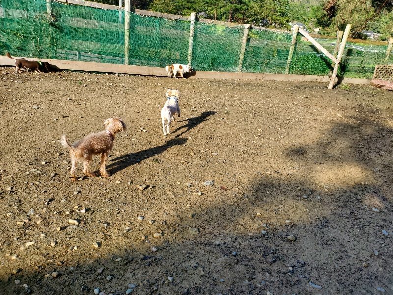 f:id:roukenhome-ann:20191106122125j:plain