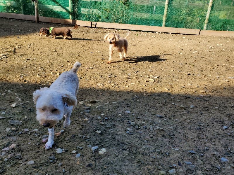 f:id:roukenhome-ann:20191106122208j:plain