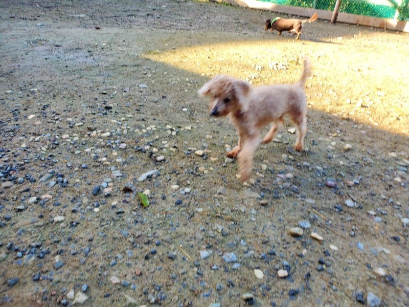 f:id:roukenhome-ann:20191106122214j:plain