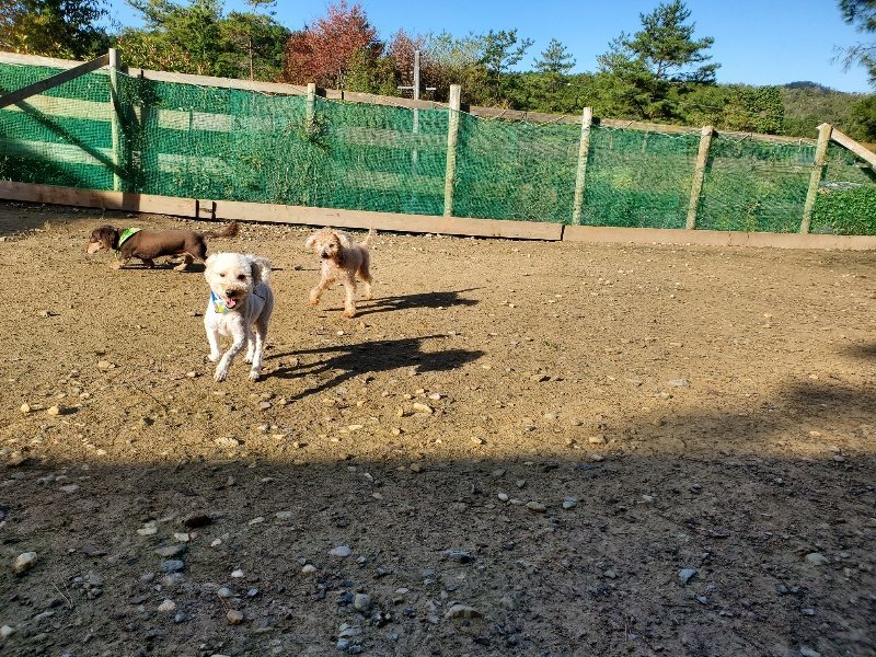 f:id:roukenhome-ann:20191106122226j:plain