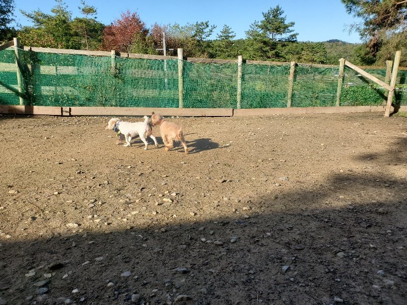 f:id:roukenhome-ann:20191106122233j:plain