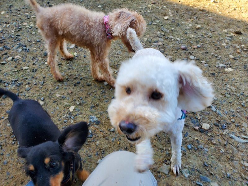 f:id:roukenhome-ann:20191106122251j:plain