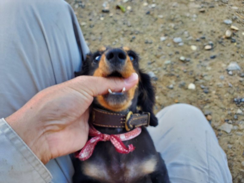 f:id:roukenhome-ann:20191106122344j:plain