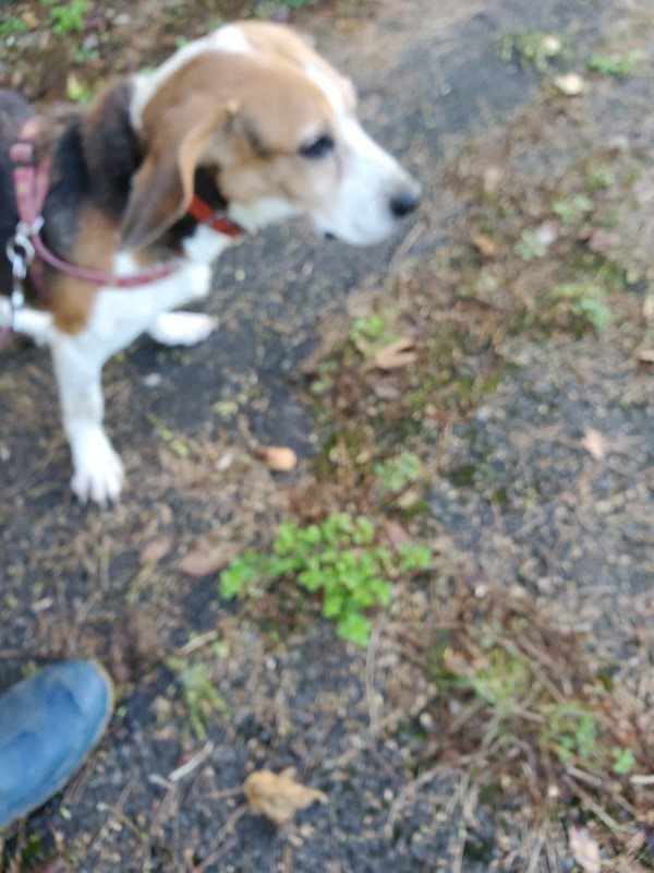 f:id:roukenhome-ann:20191106122433j:plain