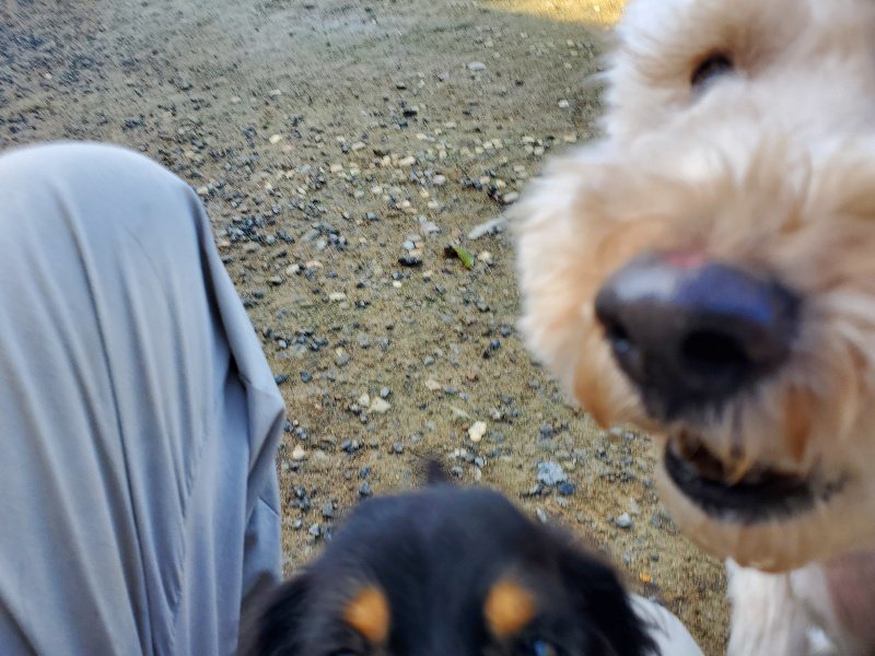 f:id:roukenhome-ann:20191106122441j:plain