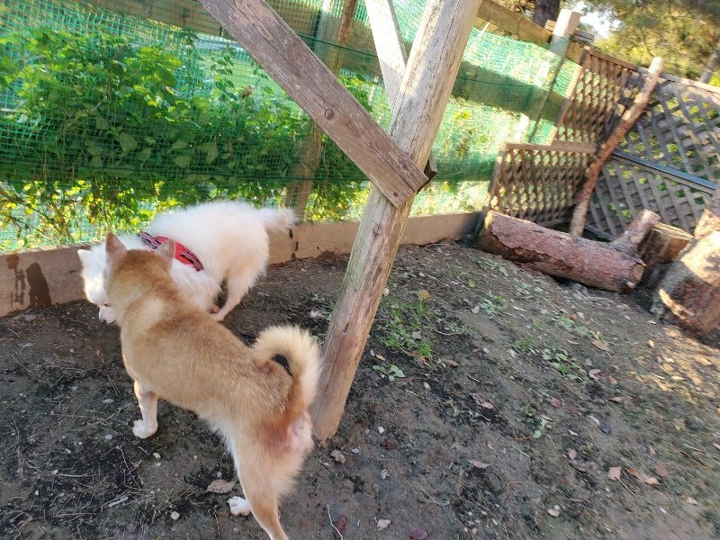 f:id:roukenhome-ann:20191106192352j:plain