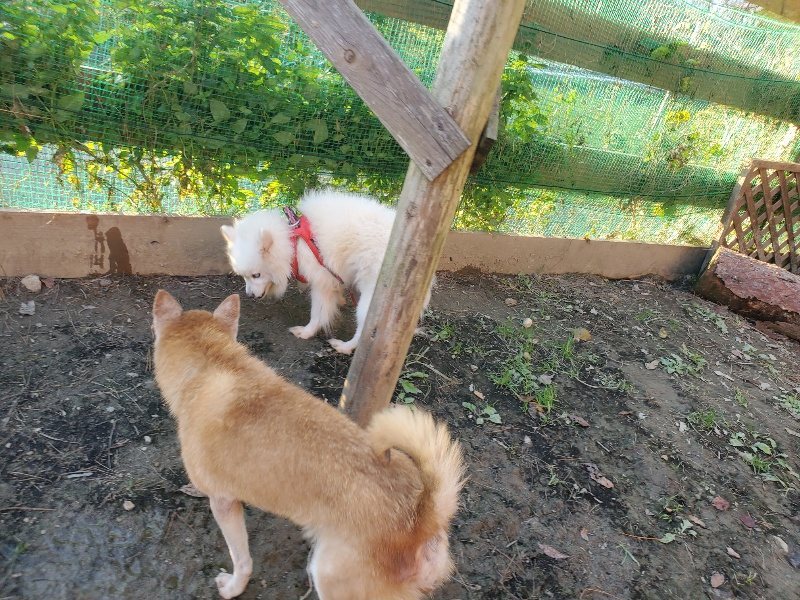 f:id:roukenhome-ann:20191106192432j:plain
