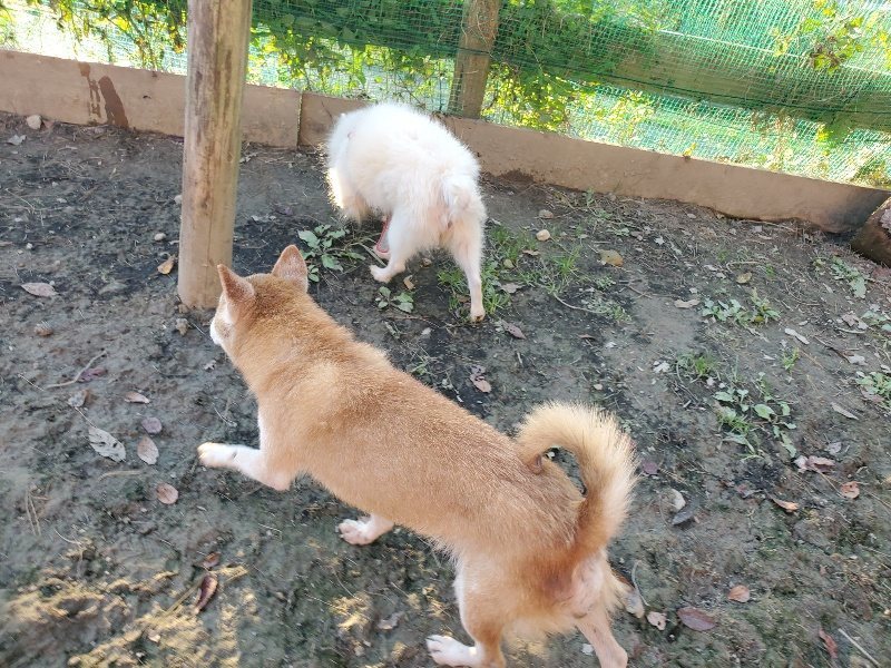 f:id:roukenhome-ann:20191106192558j:plain
