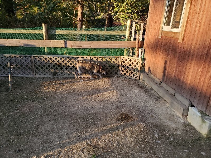 f:id:roukenhome-ann:20191106192910j:plain