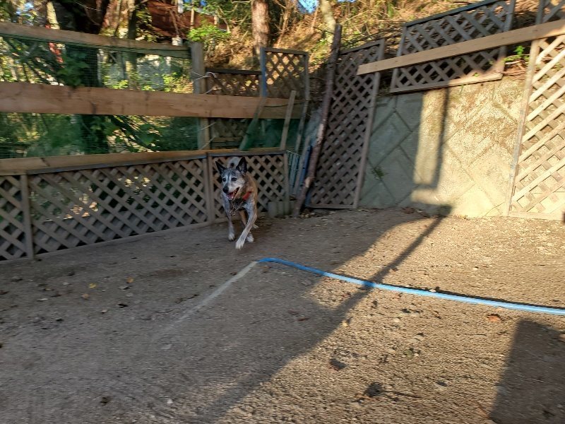 f:id:roukenhome-ann:20191106193134j:plain