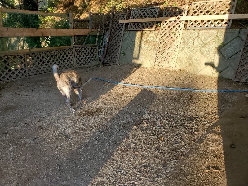 f:id:roukenhome-ann:20191106193154j:plain