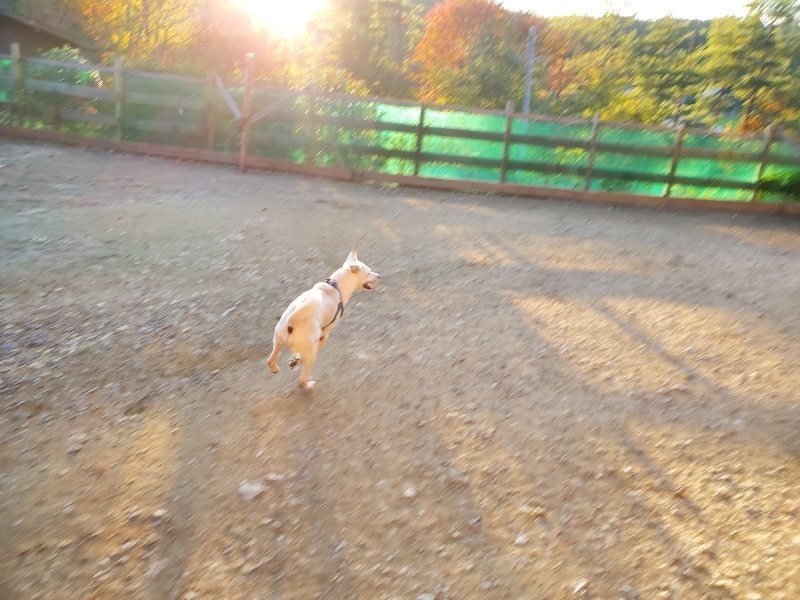 f:id:roukenhome-ann:20191106193230j:plain