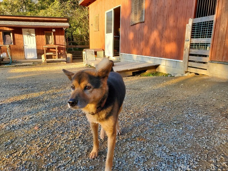 f:id:roukenhome-ann:20191106193405j:plain