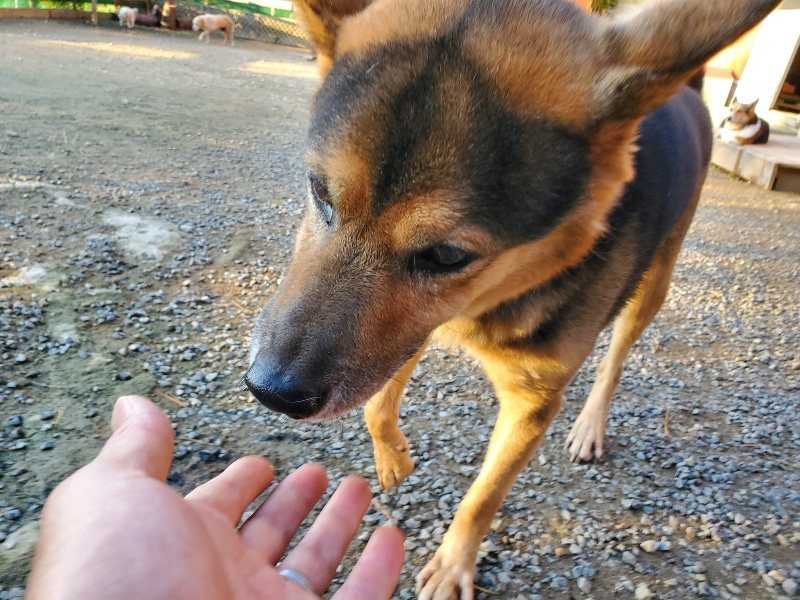 f:id:roukenhome-ann:20191106193439j:plain