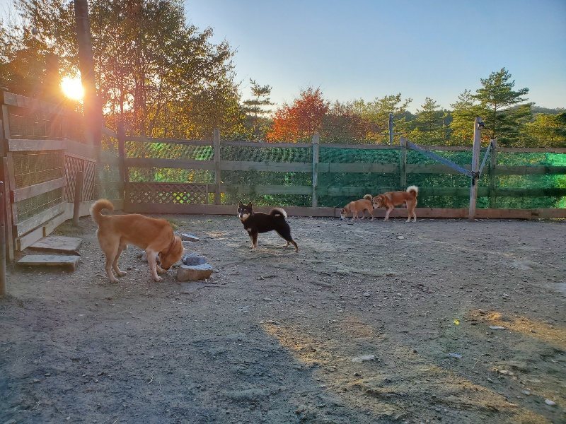 f:id:roukenhome-ann:20191106193528j:plain