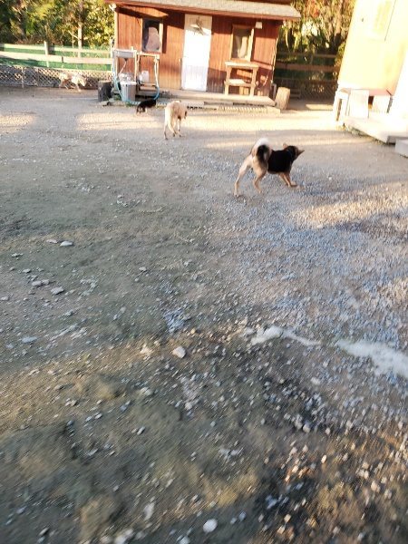 f:id:roukenhome-ann:20191106193608j:plain