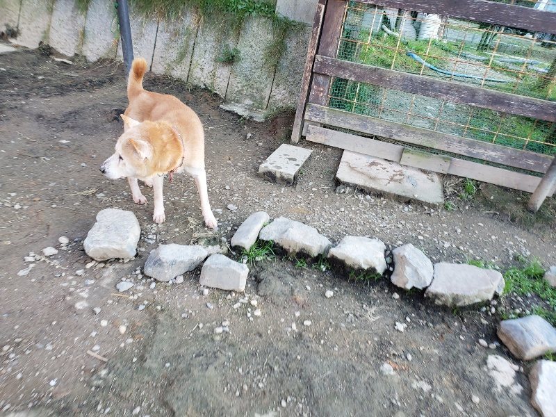 f:id:roukenhome-ann:20191106193701j:plain
