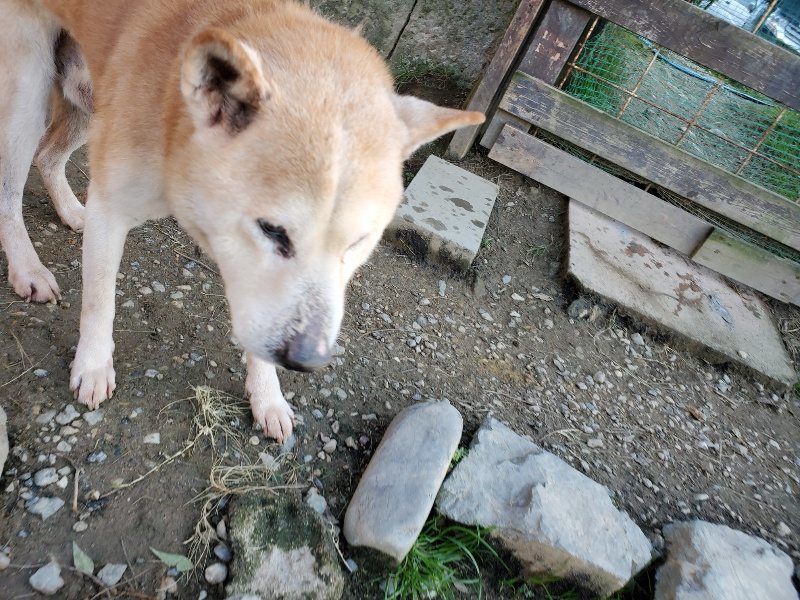 f:id:roukenhome-ann:20191106193734j:plain