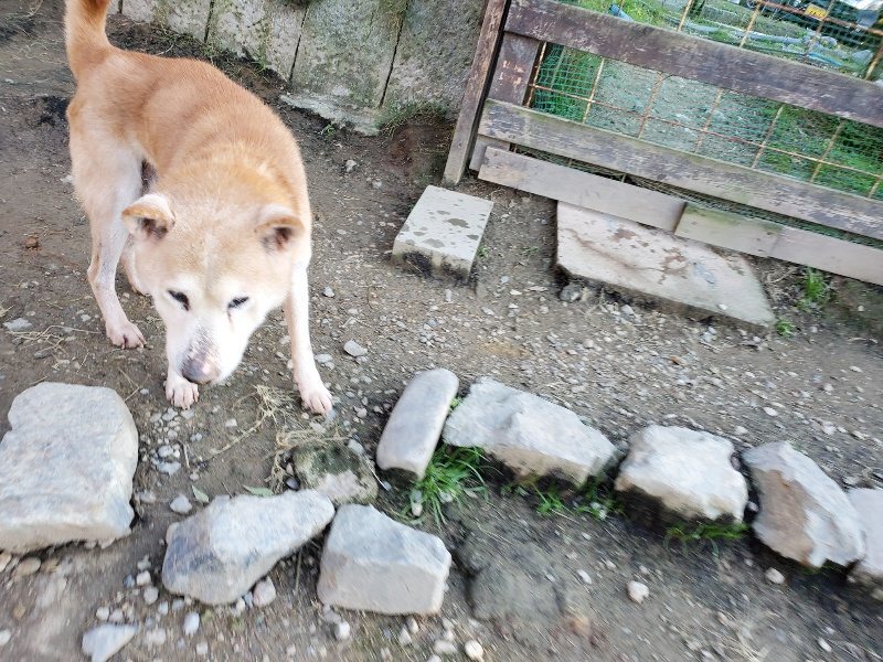 f:id:roukenhome-ann:20191106193812j:plain
