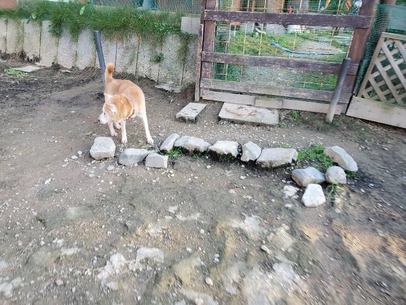 f:id:roukenhome-ann:20191106194108j:plain