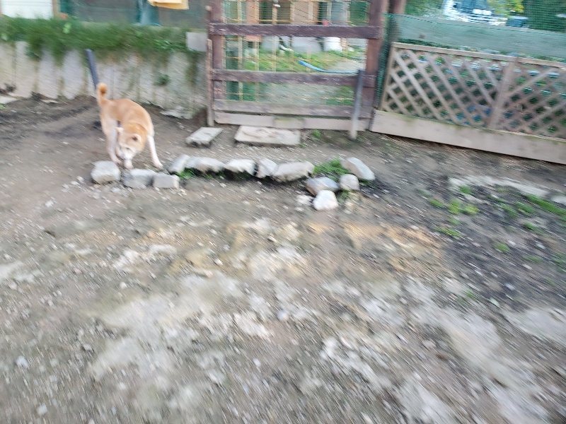 f:id:roukenhome-ann:20191106194208j:plain