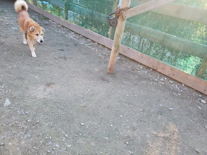 f:id:roukenhome-ann:20191106194503j:plain