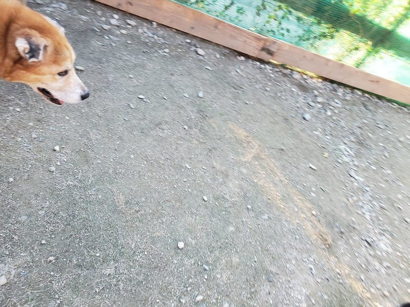 f:id:roukenhome-ann:20191106194735j:plain