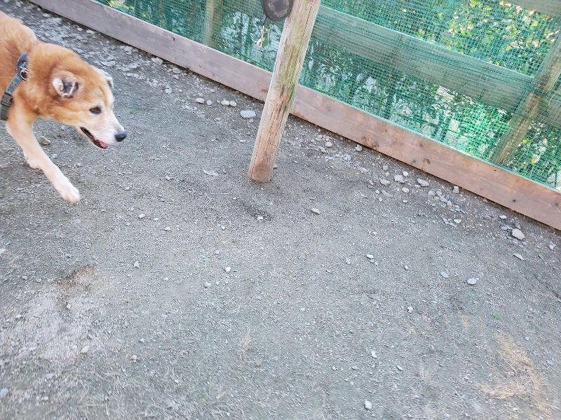 f:id:roukenhome-ann:20191106194917j:plain