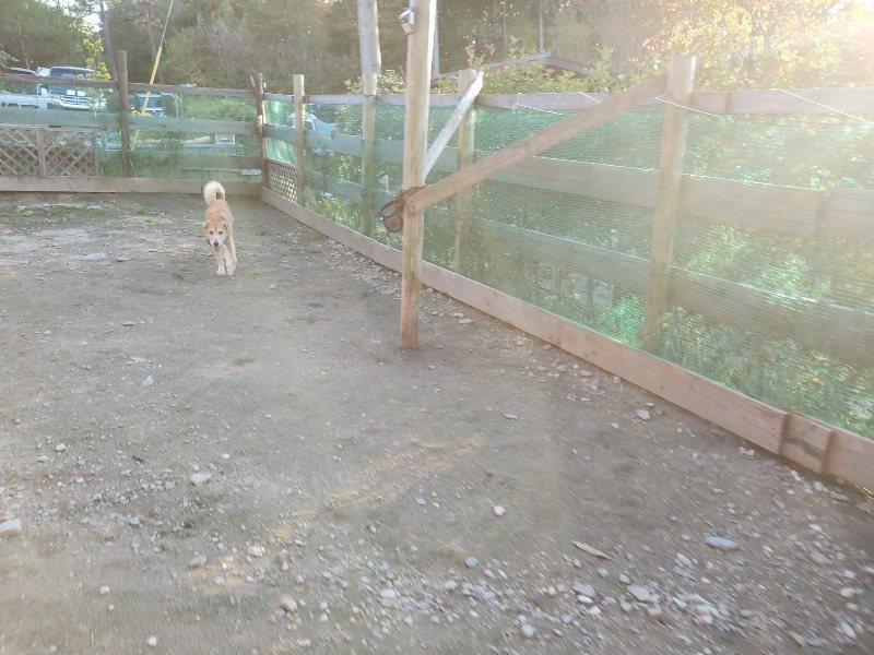 f:id:roukenhome-ann:20191106195131j:plain
