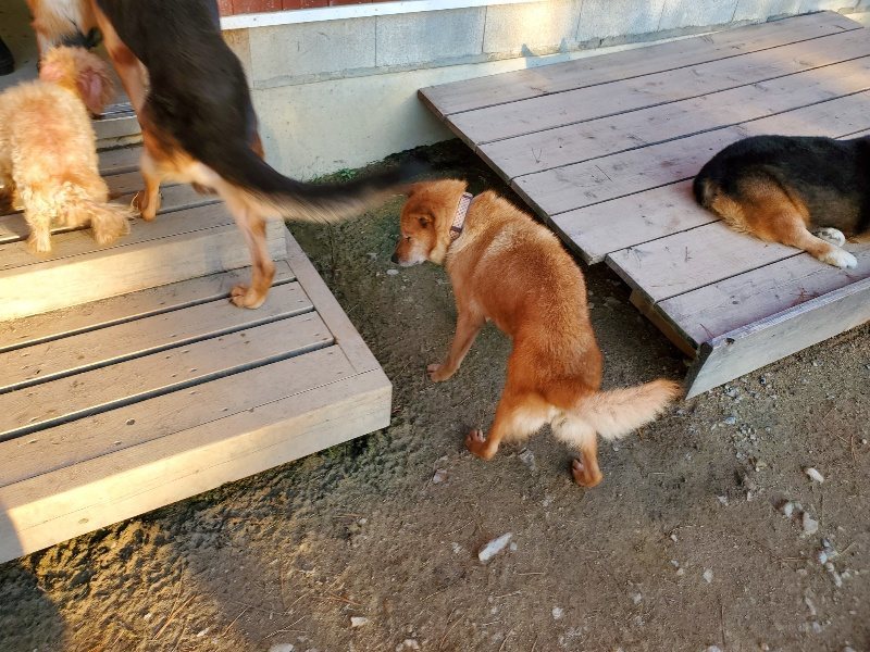 f:id:roukenhome-ann:20191106195838j:plain