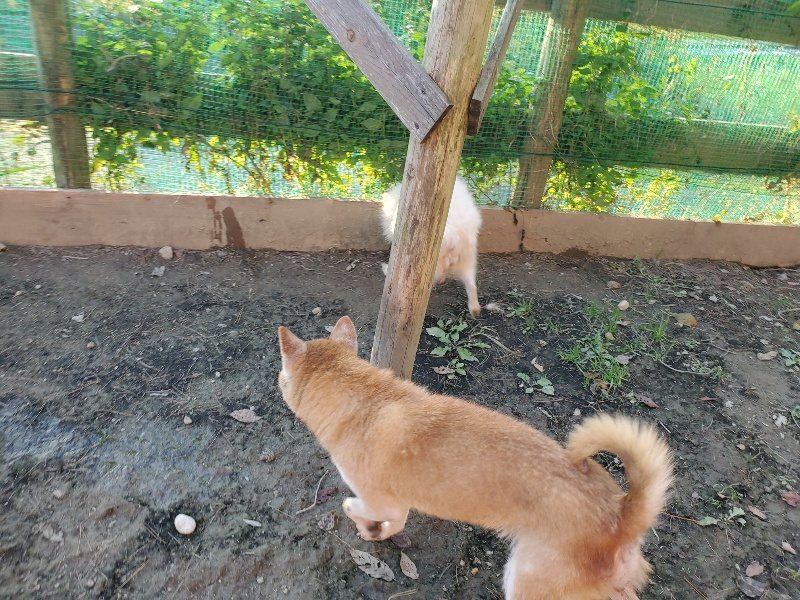 f:id:roukenhome-ann:20191106200058j:plain