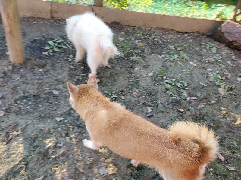 f:id:roukenhome-ann:20191106200139j:plain