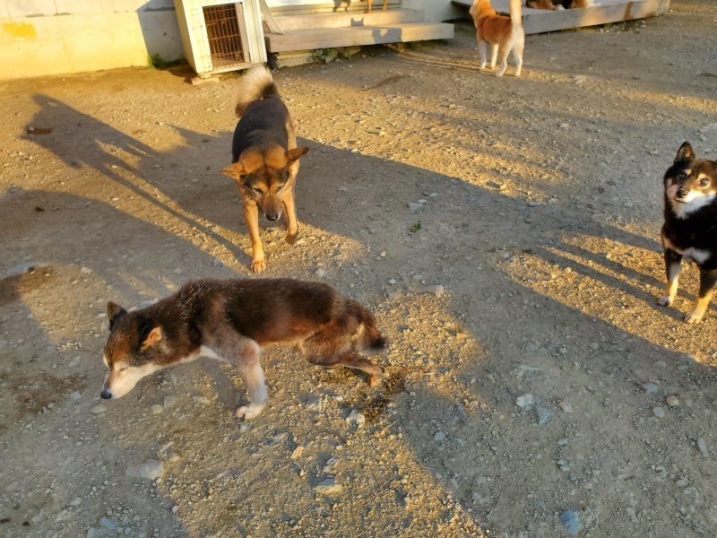 f:id:roukenhome-ann:20191106200208j:plain