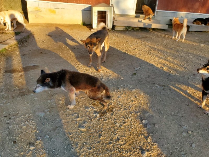 f:id:roukenhome-ann:20191106200245j:plain
