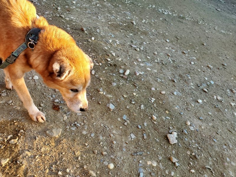 f:id:roukenhome-ann:20191106200352j:plain