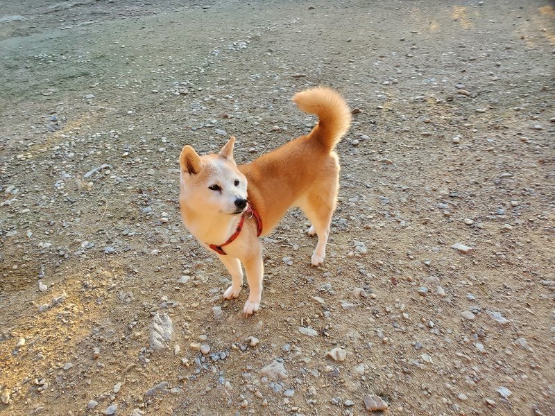 f:id:roukenhome-ann:20191106200910j:plain