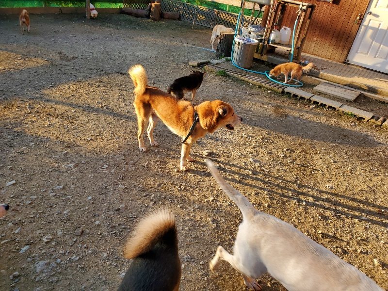 f:id:roukenhome-ann:20191106201130j:plain