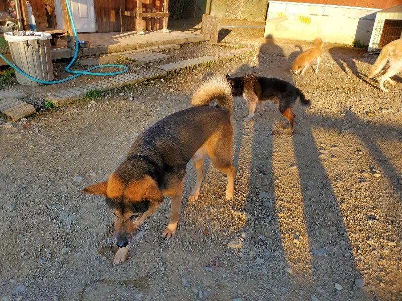 f:id:roukenhome-ann:20191106203151j:plain