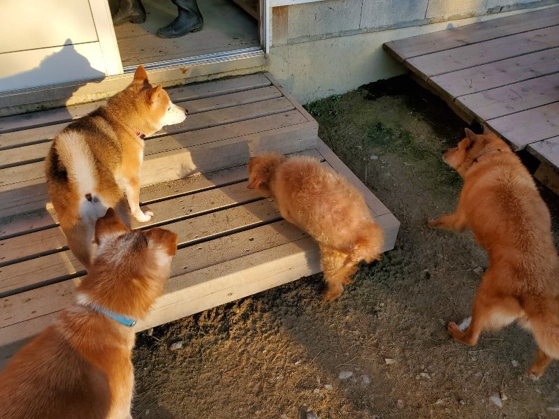 f:id:roukenhome-ann:20191106203201j:plain